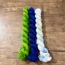 Load image into Gallery viewer, Beary Cozy Gnome Kits