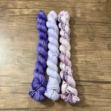 Load image into Gallery viewer, Beary Cozy Gnome Kits