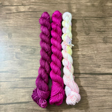 Load image into Gallery viewer, Beary Cozy Gnome Kits