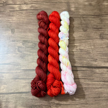 Load image into Gallery viewer, Beary Cozy Gnome Kits