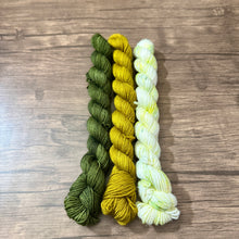 Load image into Gallery viewer, Beary Cozy Gnome Kits