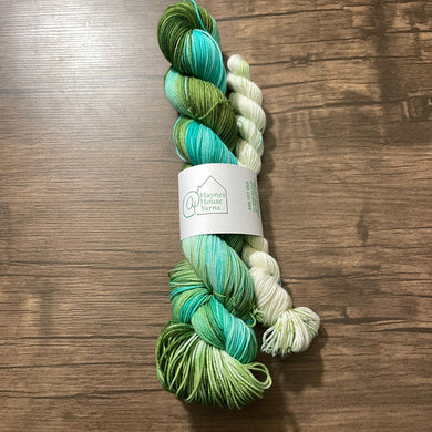 Ready to Ship // Snakes on a Skein Sock Set